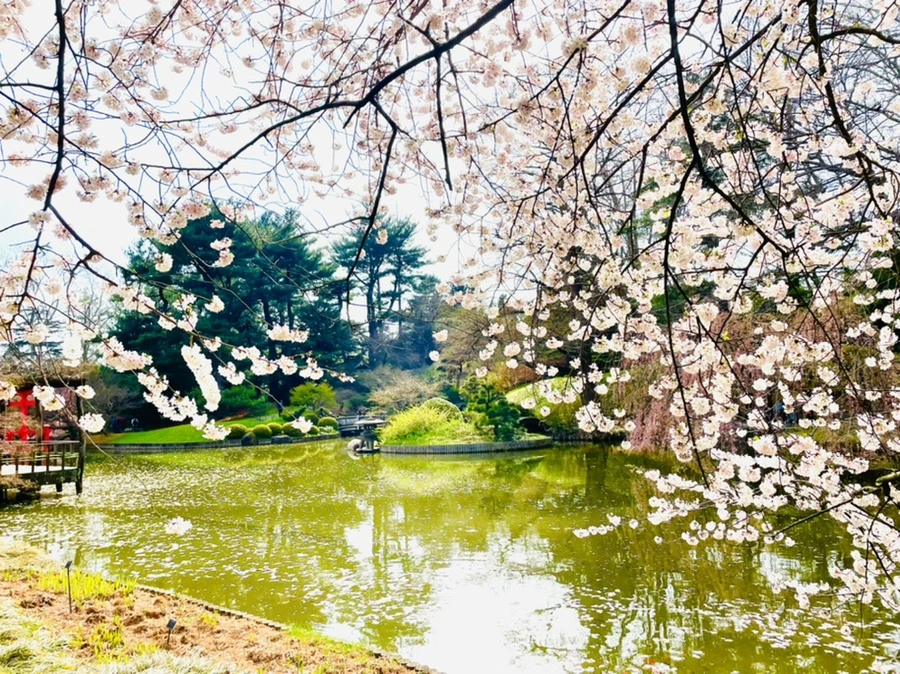 IMG_0483.jpg?type=w966