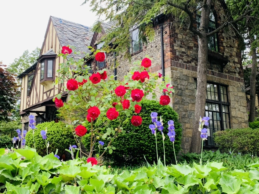 IMG_5392.jpg?type=w966