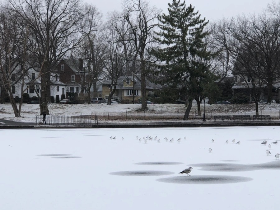 IMG_6177.jpg?type=w966