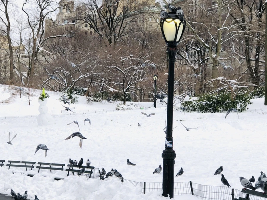 IMG_9134.jpg?type=w966