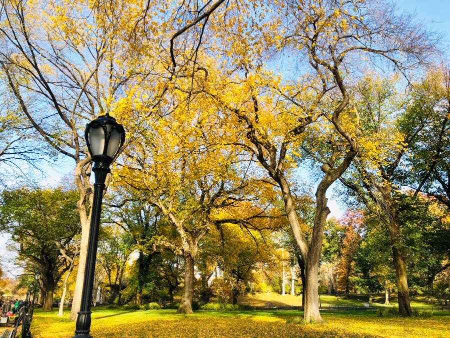 IMG_7510.jpg?type=w966