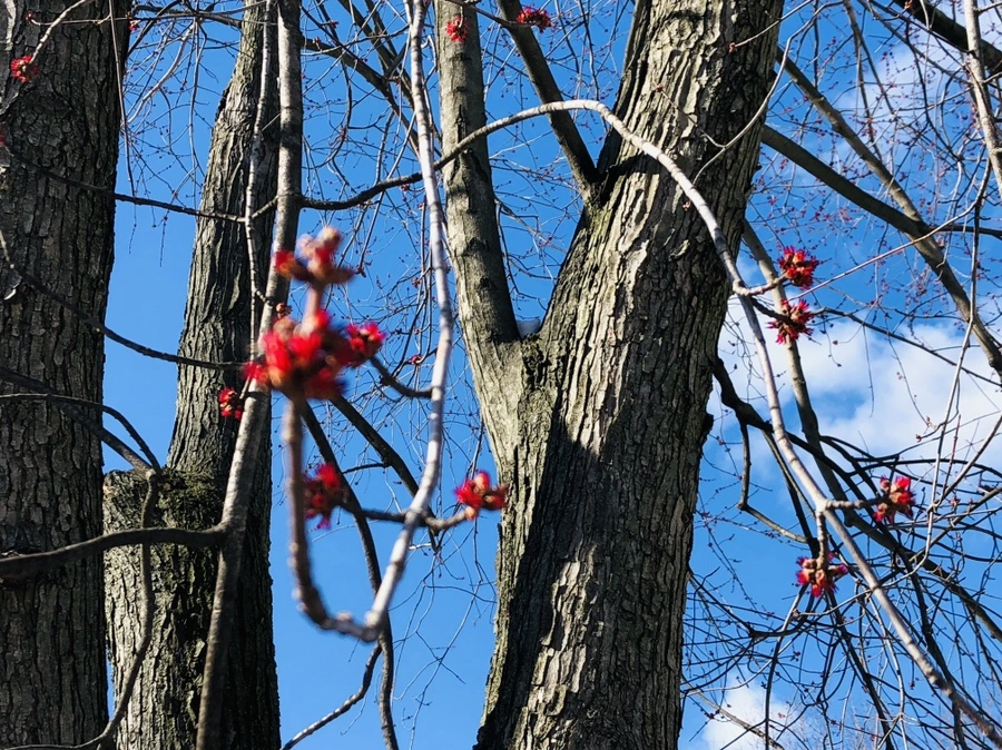 IMG_0462.jpg?type=w966