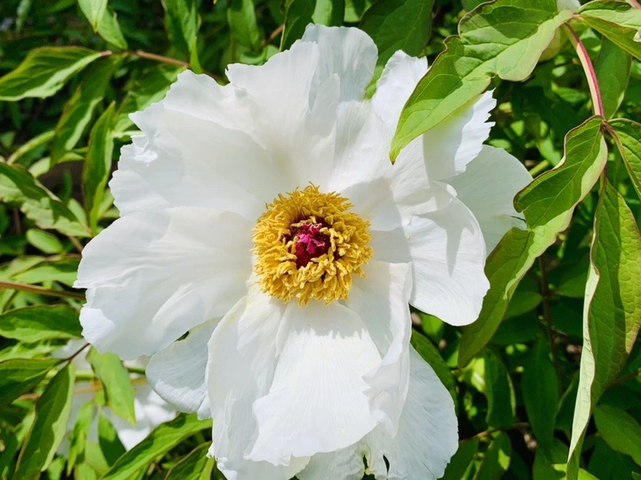 1ylD0tSBX8PERnNGDPvnT8m2sDU