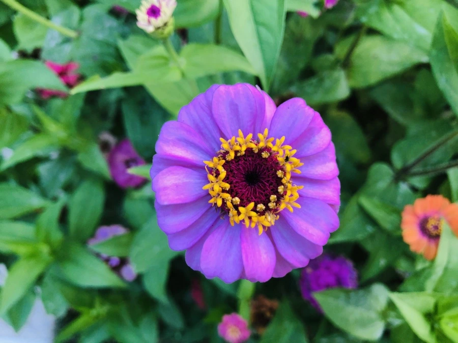 IMG_3627.jpg?type=w966