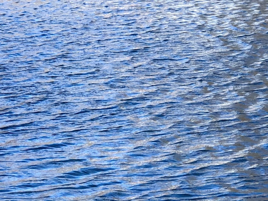 IMG_3853.jpg?type=w966