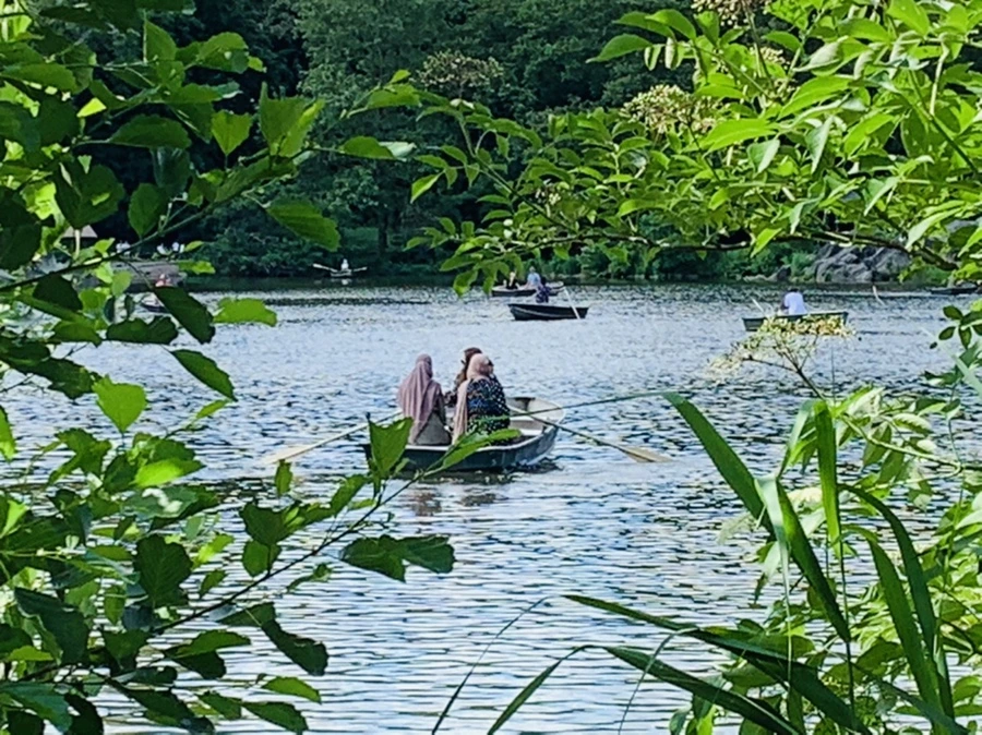 IMG_6410.jpg?type=w966