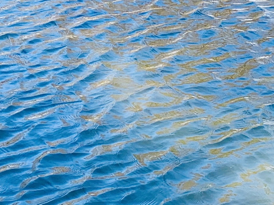 IMG_9890.jpg?type=w966