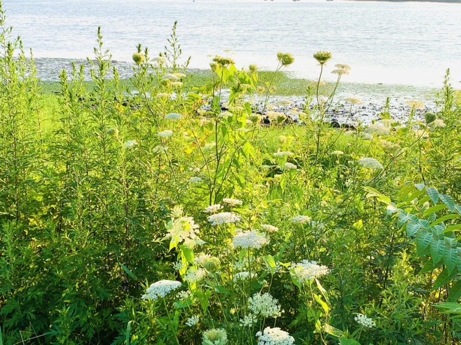 IMG_9833.jpg?type=w966