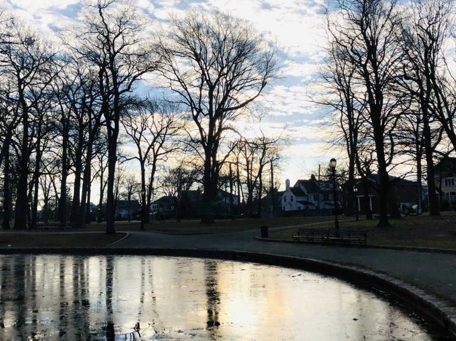 IMG_0166.jpg?type=w966