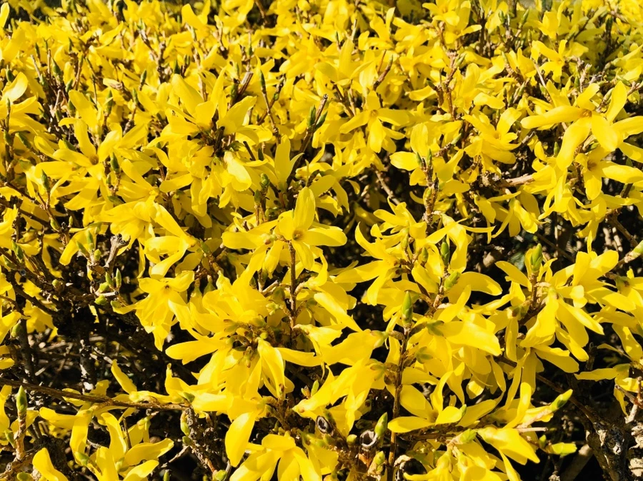 IMG_6399.jpg?type=w966