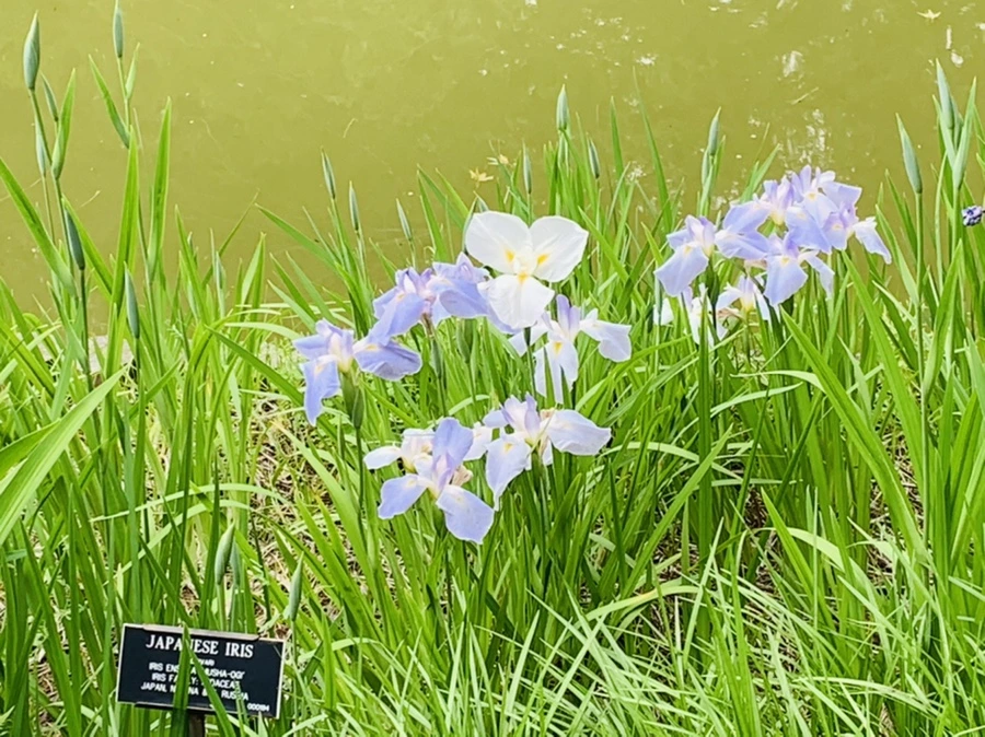 IMG_2976.jpg?type=w966