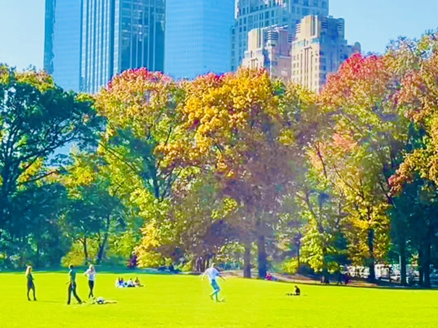 IMG_1705.jpg?type=w966