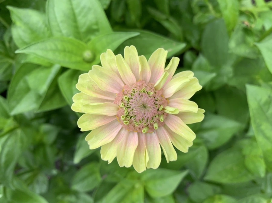 IMG_9548.jpg?type=w966