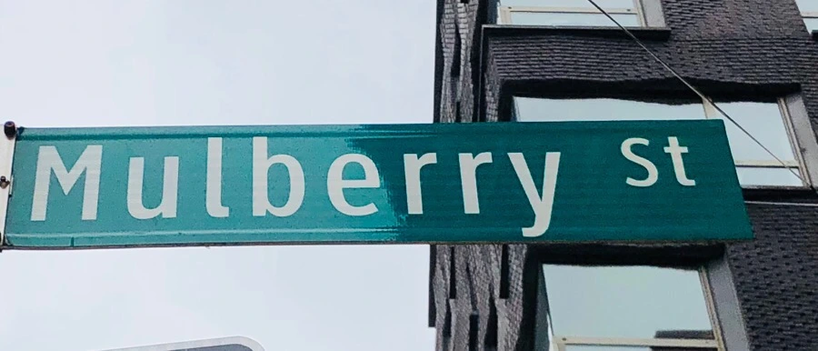 IMG_4725.jpg?type=w966