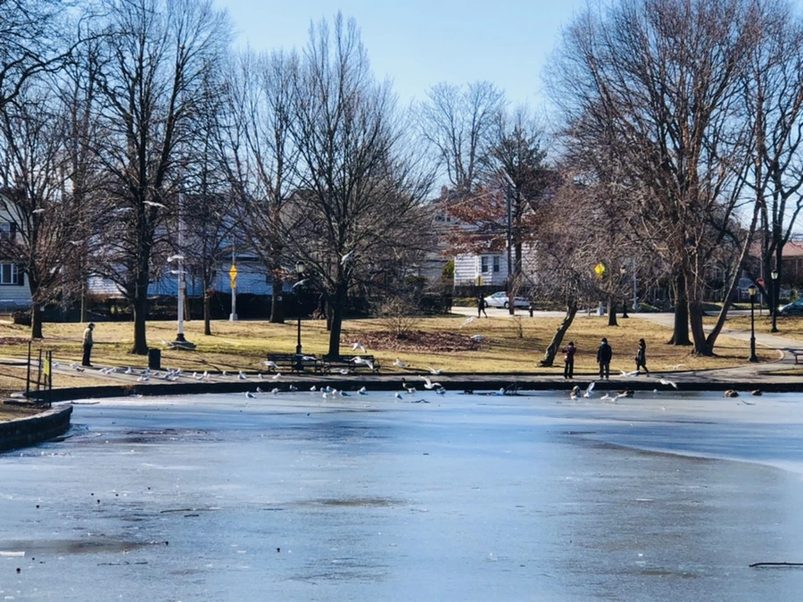 IMG_6562.jpg?type=w966