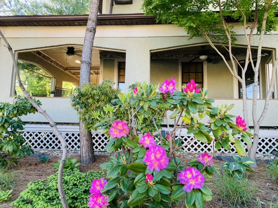 IMG_2009.jpg?type=w966