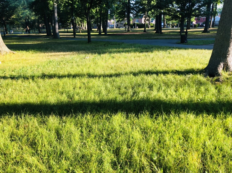 IMG_0729.jpg?type=w966