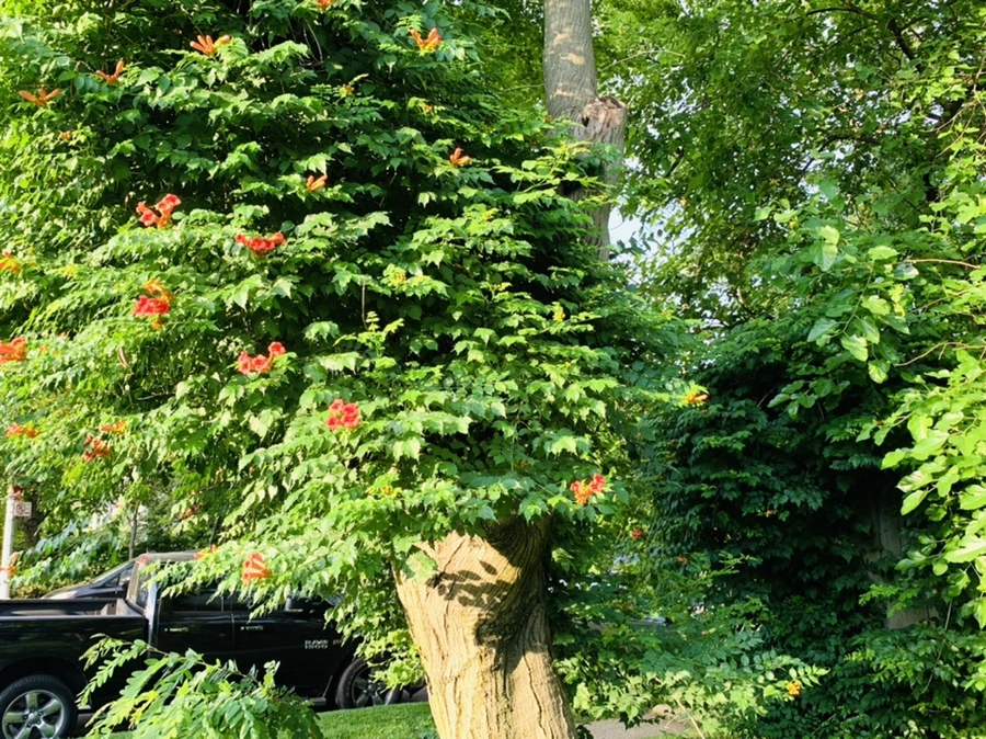 IMG_5838.jpg?type=w966