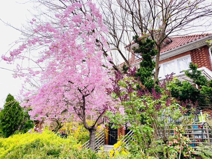 IMG_2136.jpg?type=w966