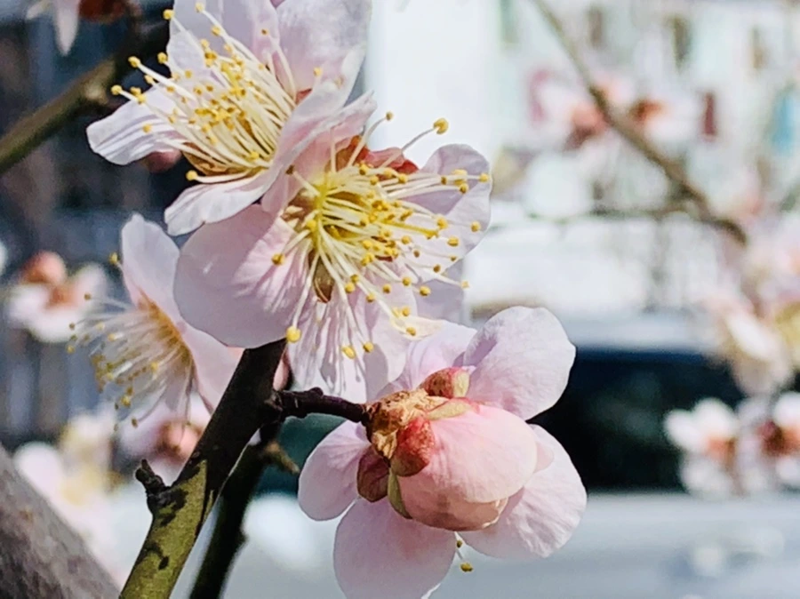 IMG_1007.jpg?type=w966