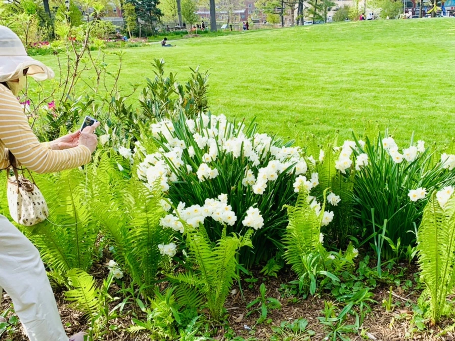 IMG_7052.jpg?type=w966