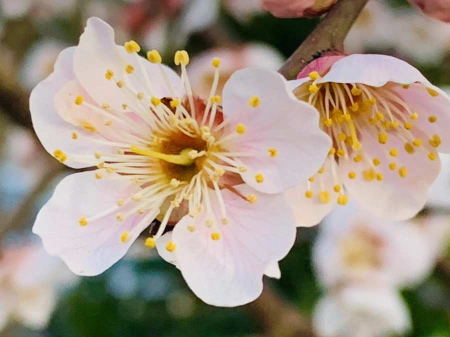 IMG_2373.jpg?type=w966