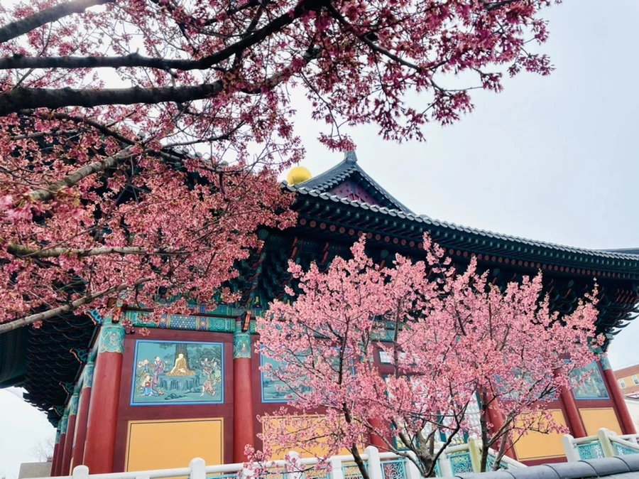 IMG_7888.jpg?type=w966