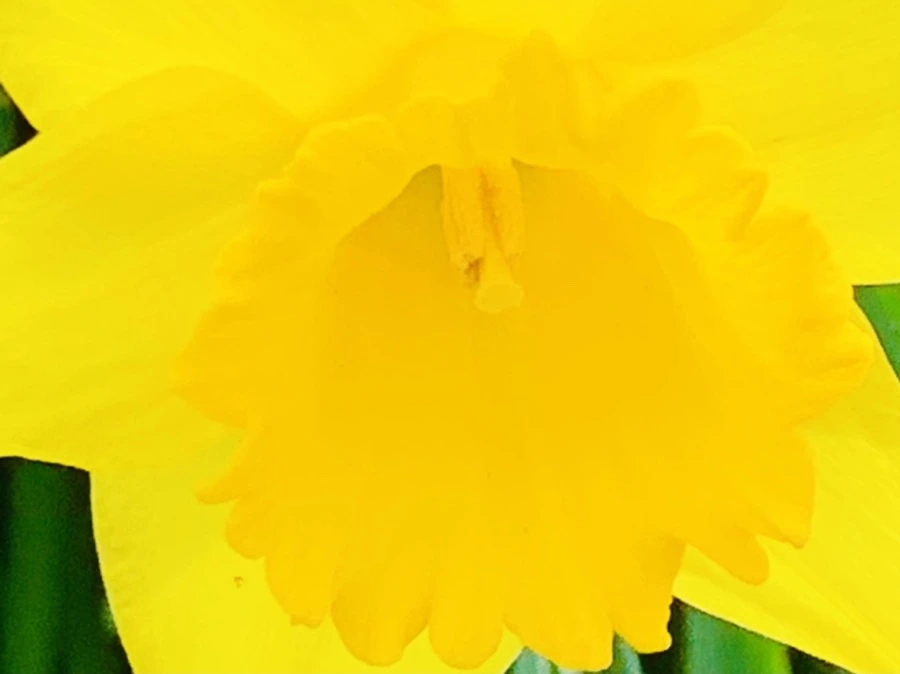 IMG_5890.jpg?type=w966