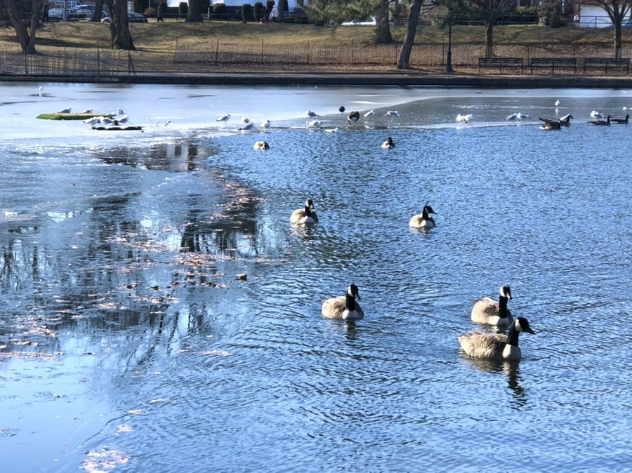 IMG_6576.jpg?type=w966