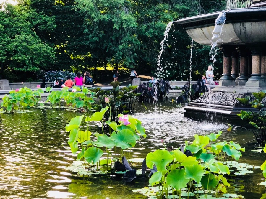 IMG_8773.jpg?type=w966