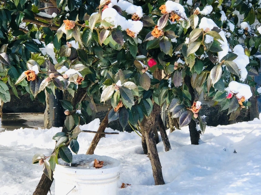 IMG_1276.jpg?type=w966