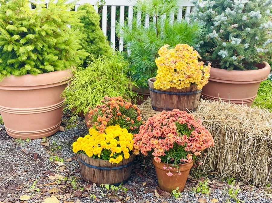 IMG_1007.jpg?type=w966