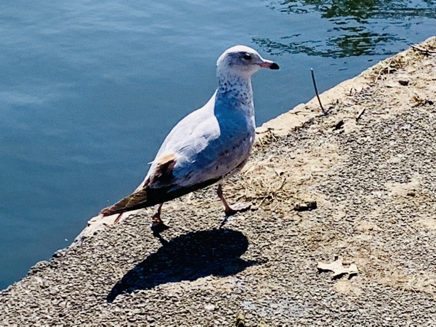 IMG_9583.jpg?type=w966