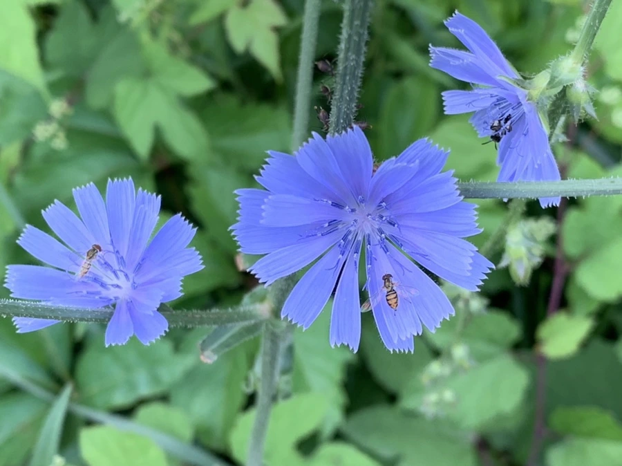 IMG_7078.jpg?type=w966