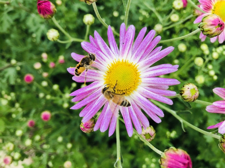 IMG_1839.jpg?type=w966