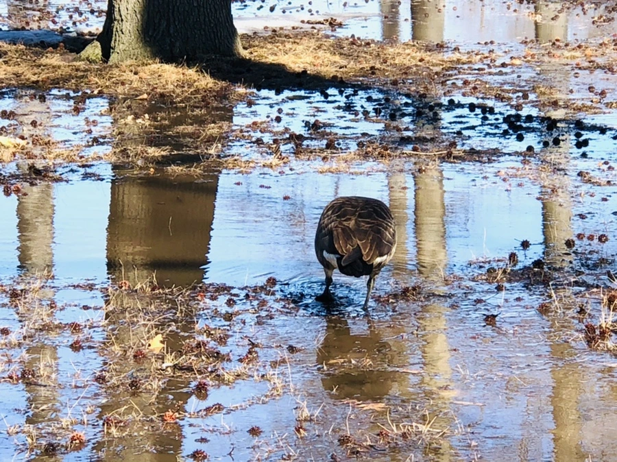 IMG_4658.jpg?type=w966