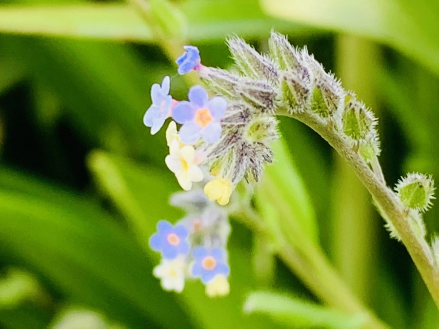 IMG_8660.jpg?type=w966