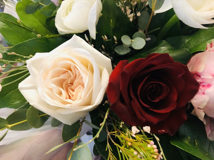 IMG_2372.jpg?type=w966