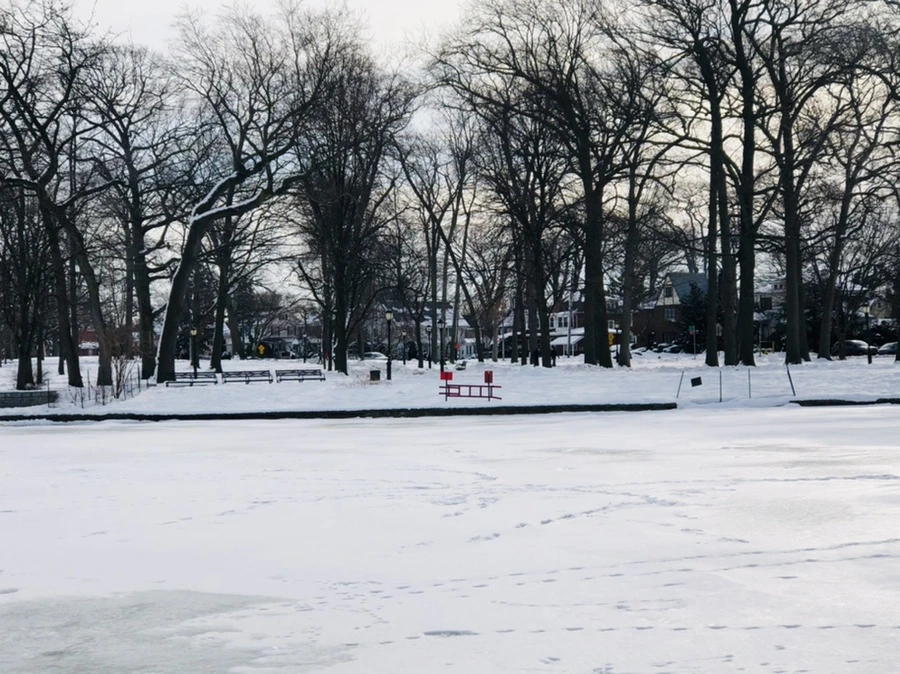 IMG_1702.jpg?type=w966