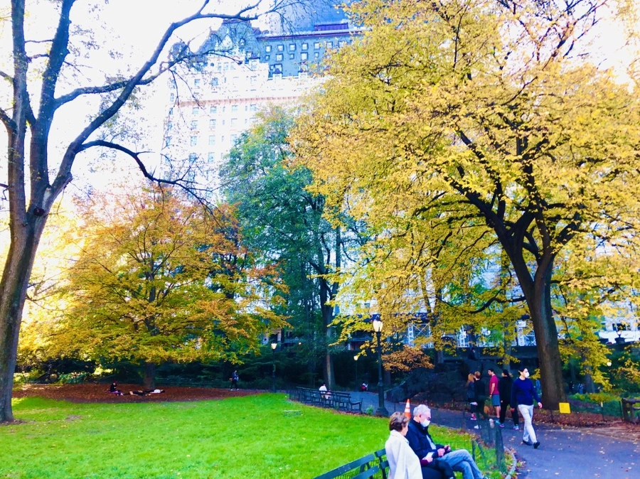 IMG_3755.JPG?type=w966