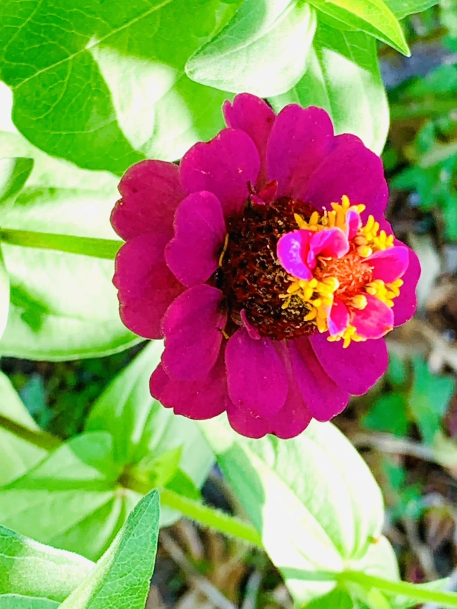 IMG_8730.jpg?type=w966