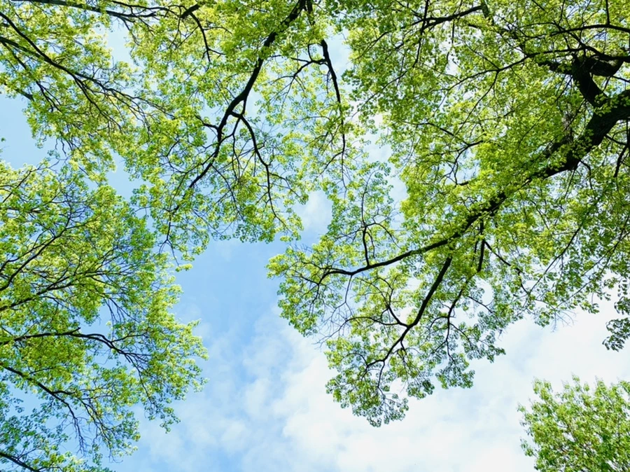 IMG_9527.jpg?type=w966