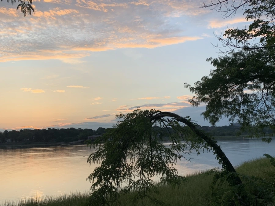 IMG_1208.jpg?type=w966