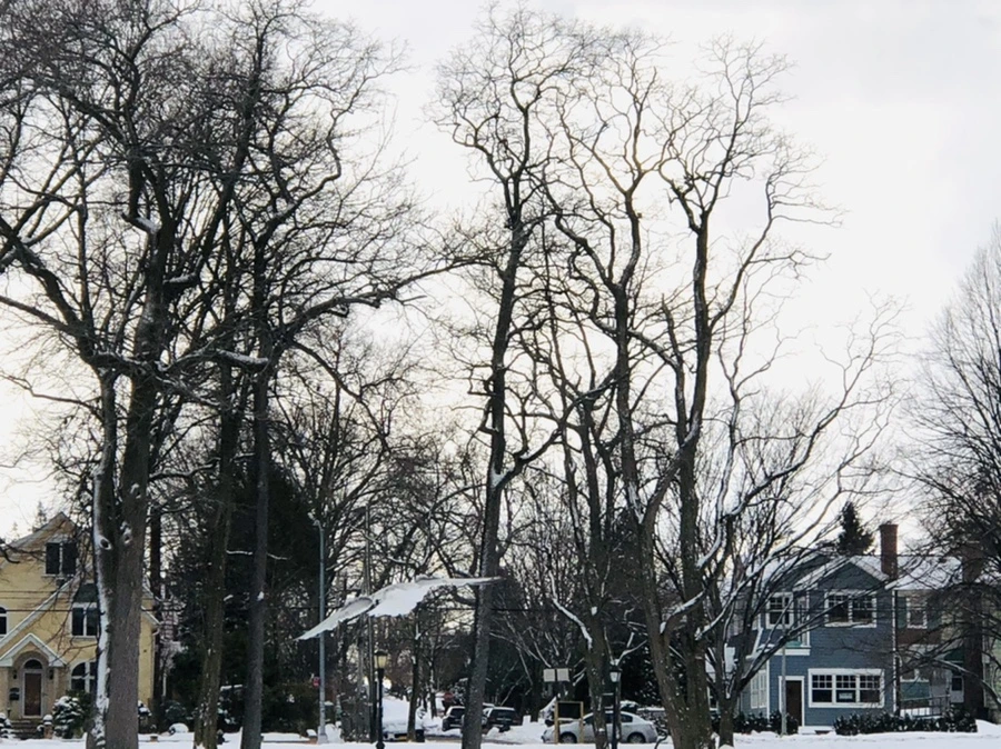 IMG_3769.jpg?type=w966