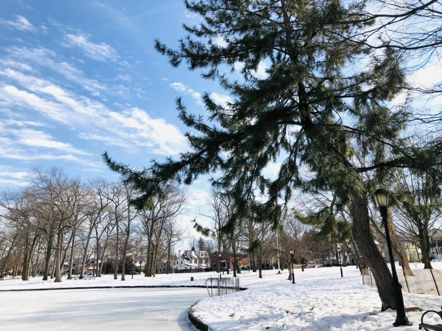 IMG_0087.jpg?type=w966