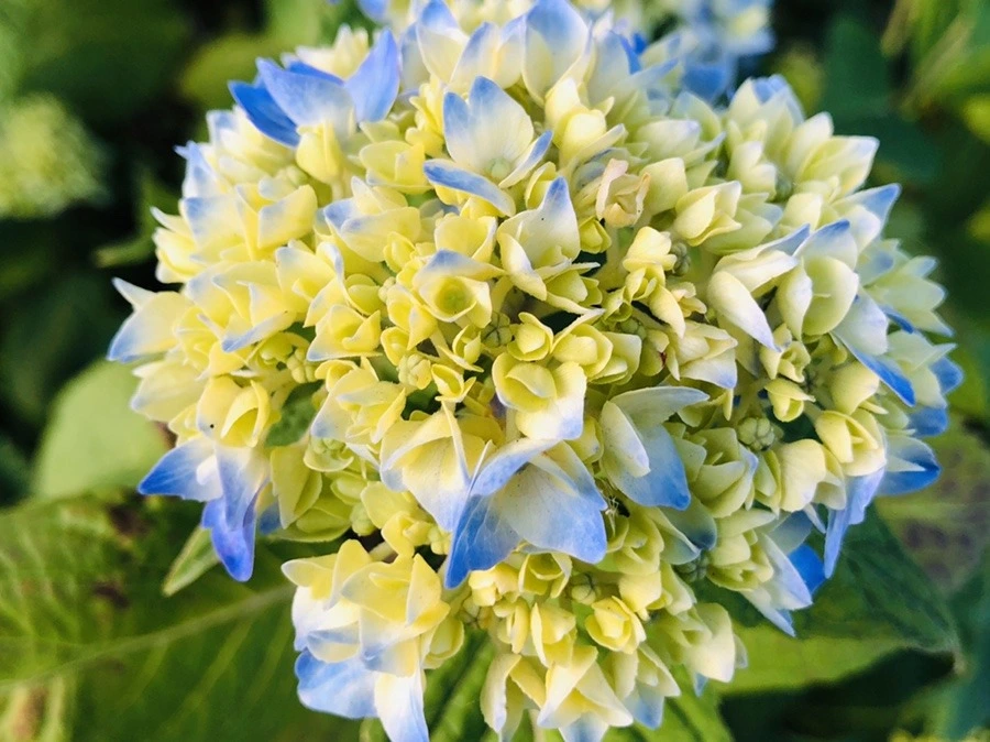 64VucHB_UjD-Ihr5k_-eRPoR5ZE