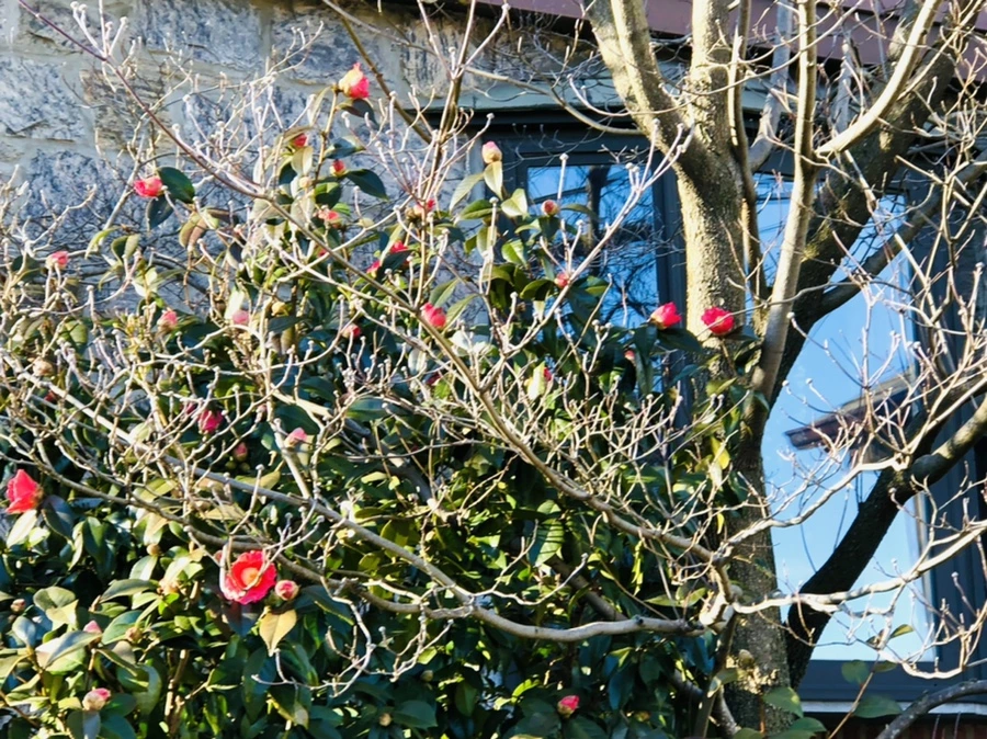 IMG_1870.jpg?type=w966