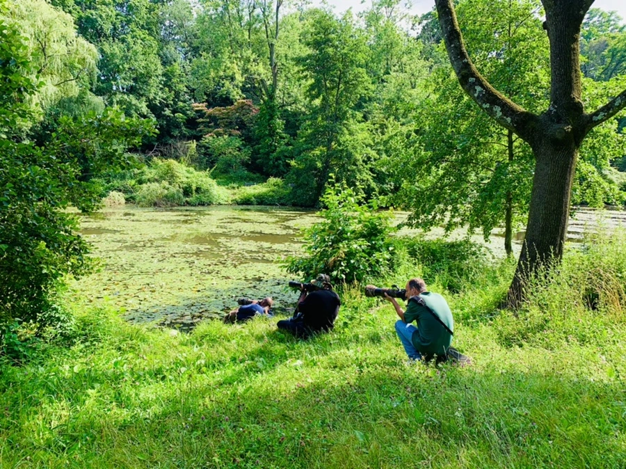 IMG_0847.jpg?type=w966