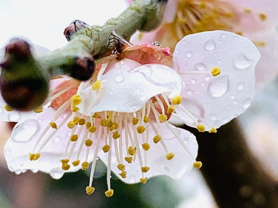 IMG_1841.jpg?type=w966