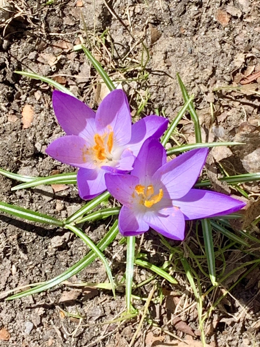 IMG_8211.jpg?type=w966